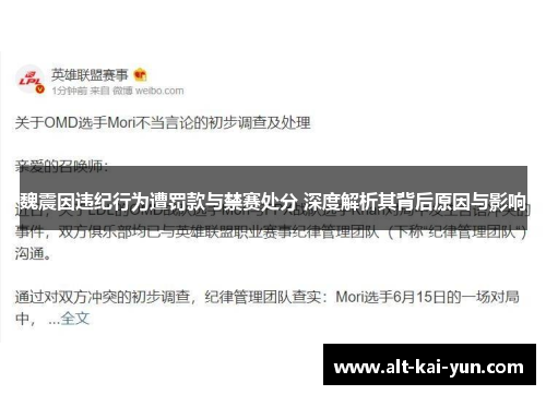 魏震因违纪行为遭罚款与禁赛处分 深度解析其背后原因与影响
