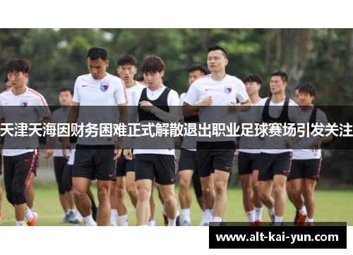 天津天海因财务困难正式解散退出职业足球赛场引发关注